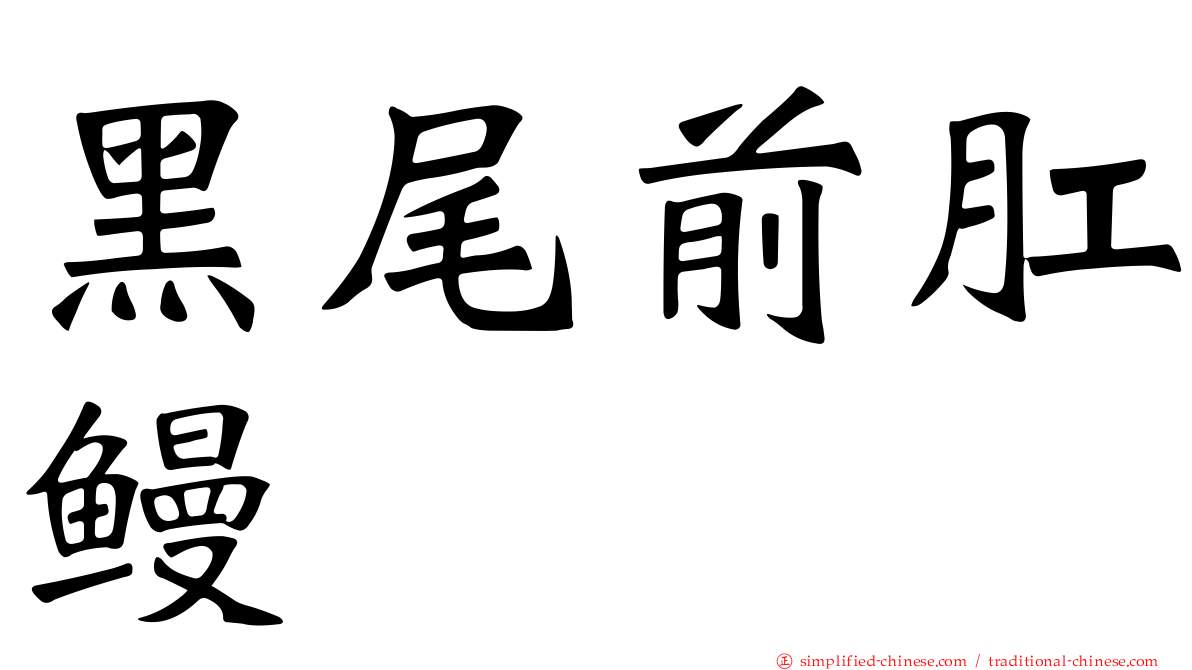 黑尾前肛鳗