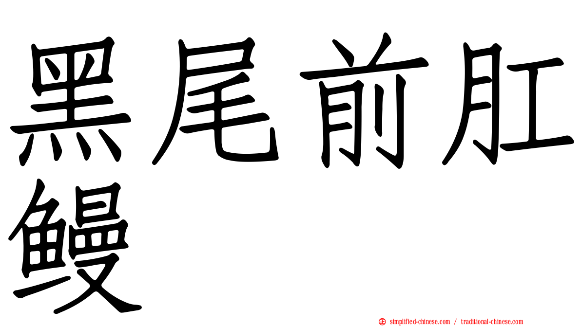 黑尾前肛鳗