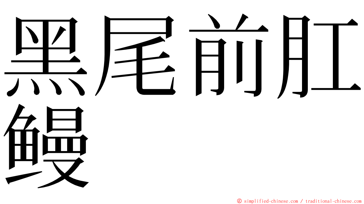 黑尾前肛鳗 ming font
