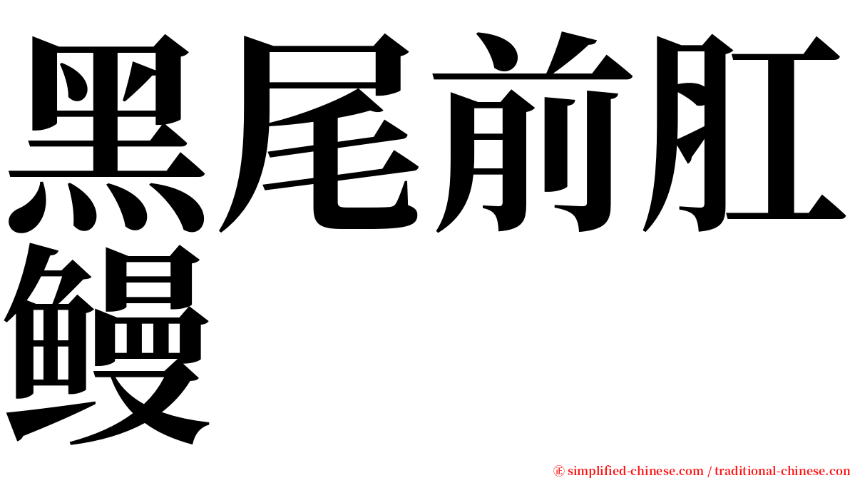 黑尾前肛鳗 serif font