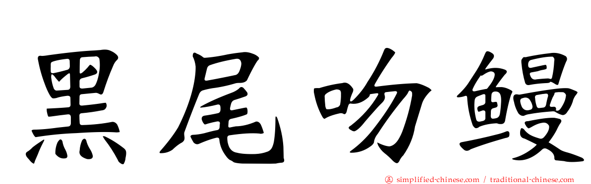 黑尾吻鳗