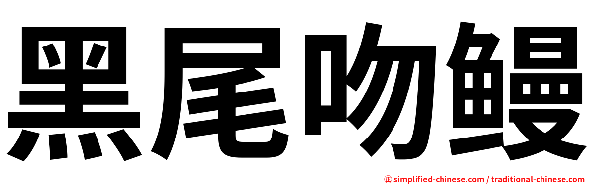 黑尾吻鳗