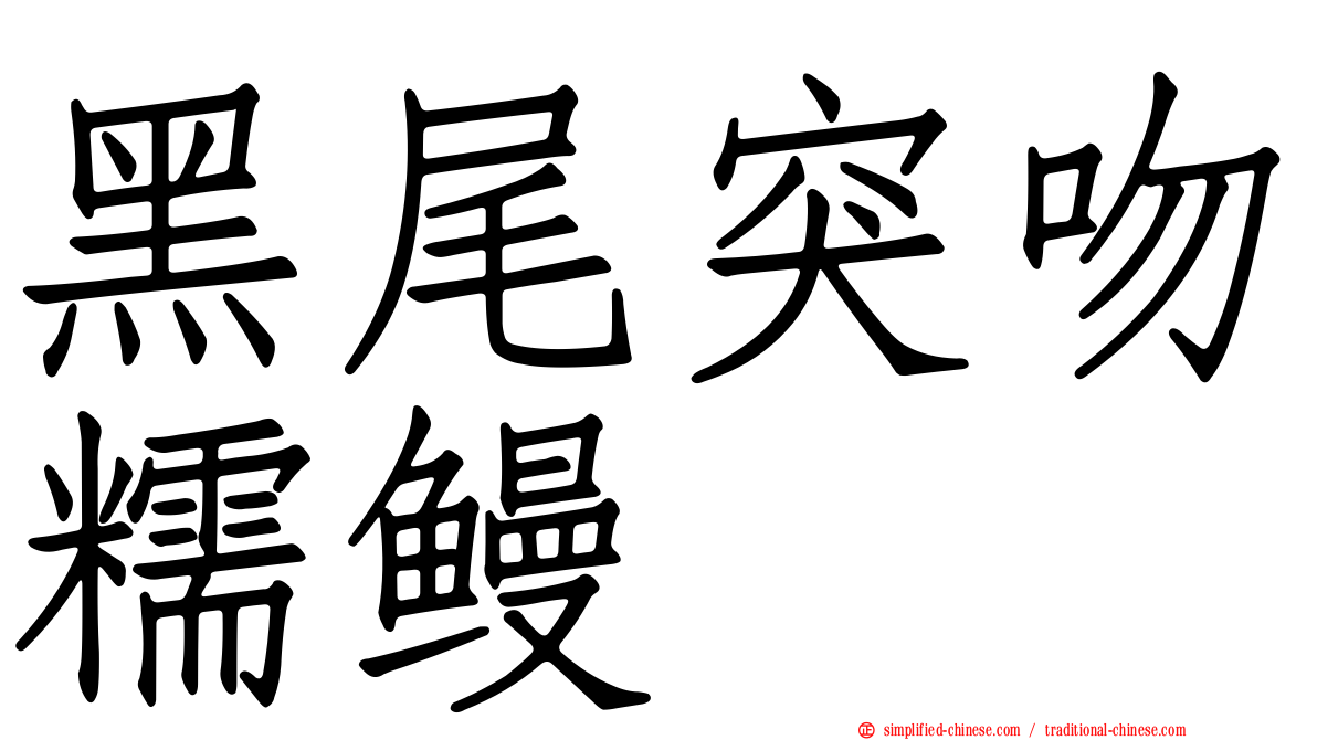 黑尾突吻糯鳗