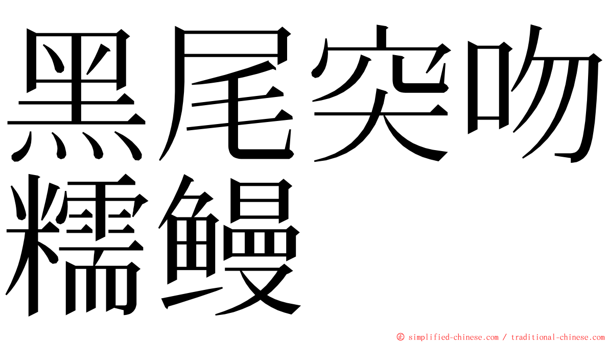 黑尾突吻糯鳗 ming font