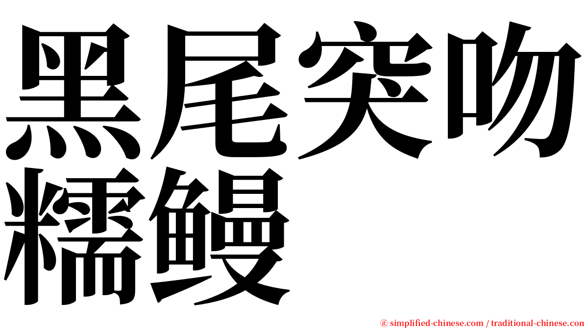 黑尾突吻糯鳗 serif font