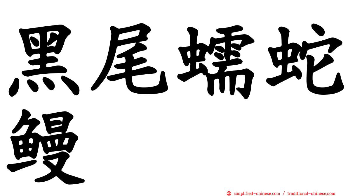 黑尾蠕蛇鳗