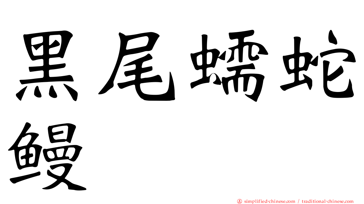 黑尾蠕蛇鳗