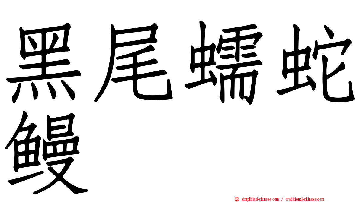 黑尾蠕蛇鳗