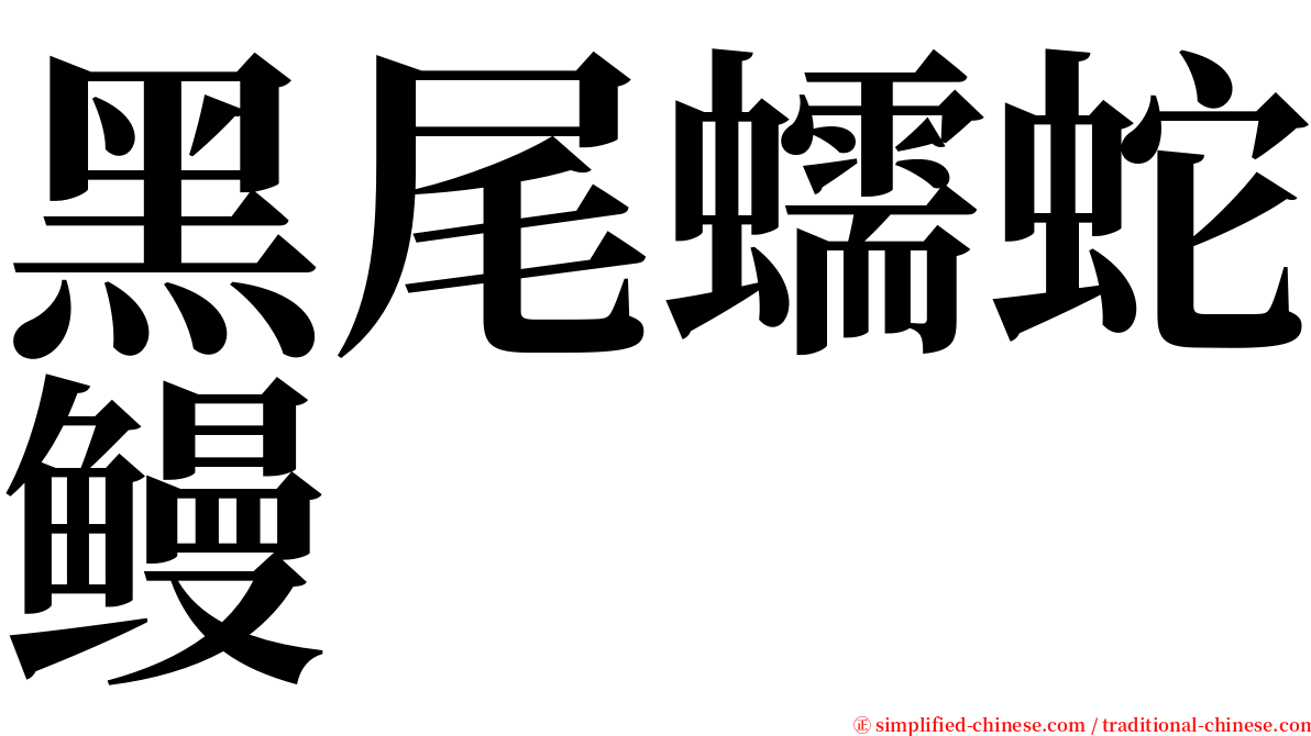 黑尾蠕蛇鳗 serif font