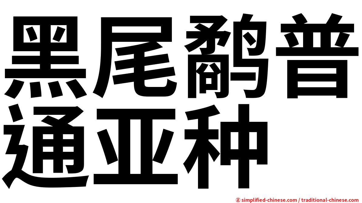 黑尾鹬普通亚种