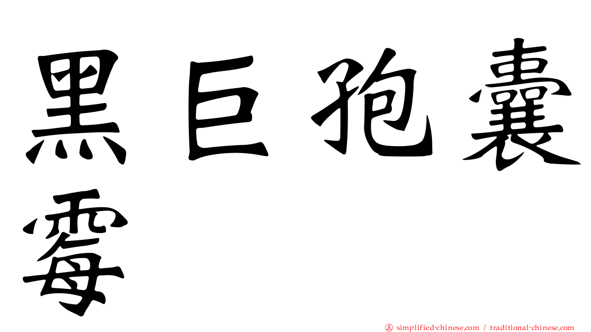 黑巨孢囊霉