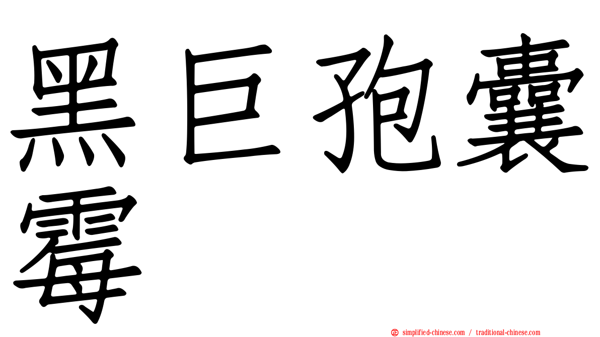 黑巨孢囊霉