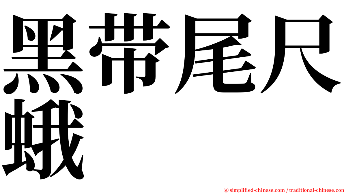 黑带尾尺蛾 serif font