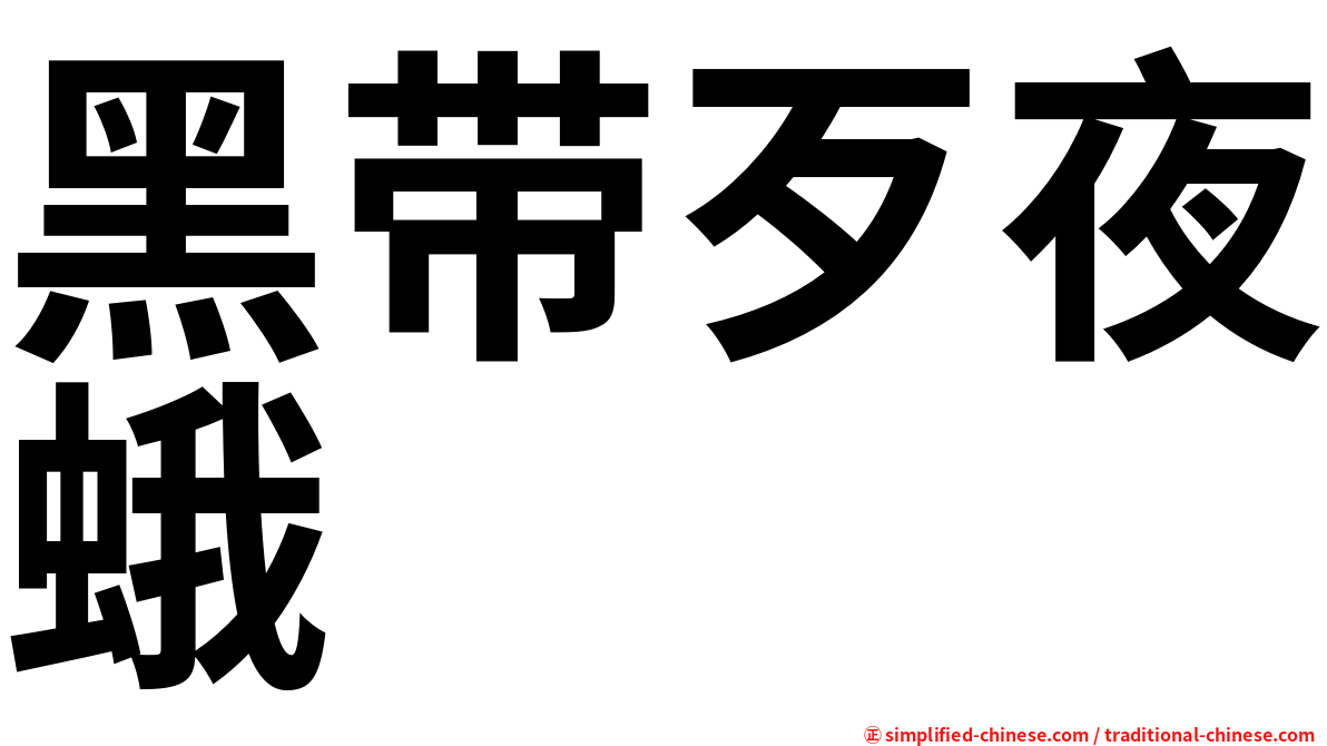 黑带歹夜蛾