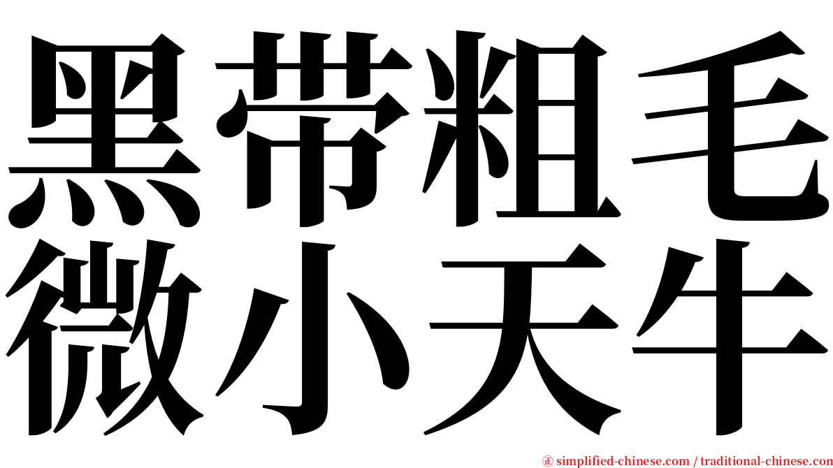 黑带粗毛微小天牛 serif font