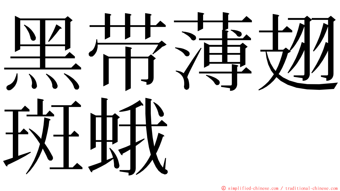 黑带薄翅斑蛾 ming font