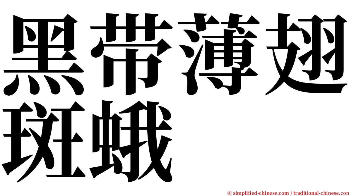 黑带薄翅斑蛾 serif font