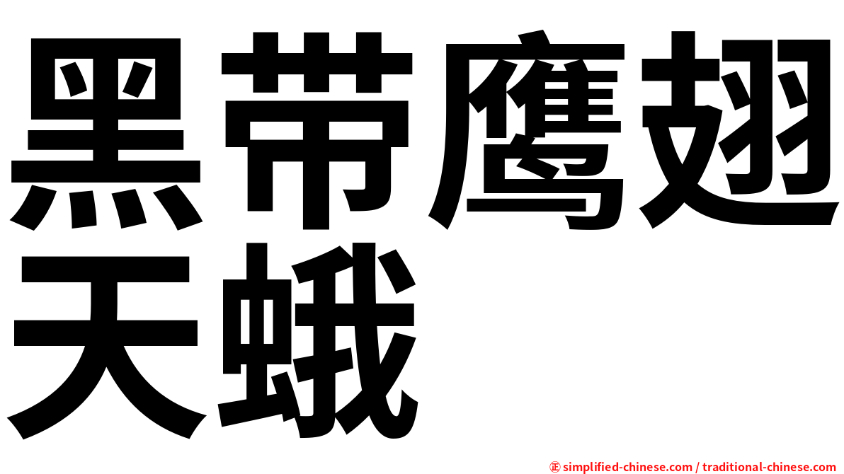 黑带鹰翅天蛾