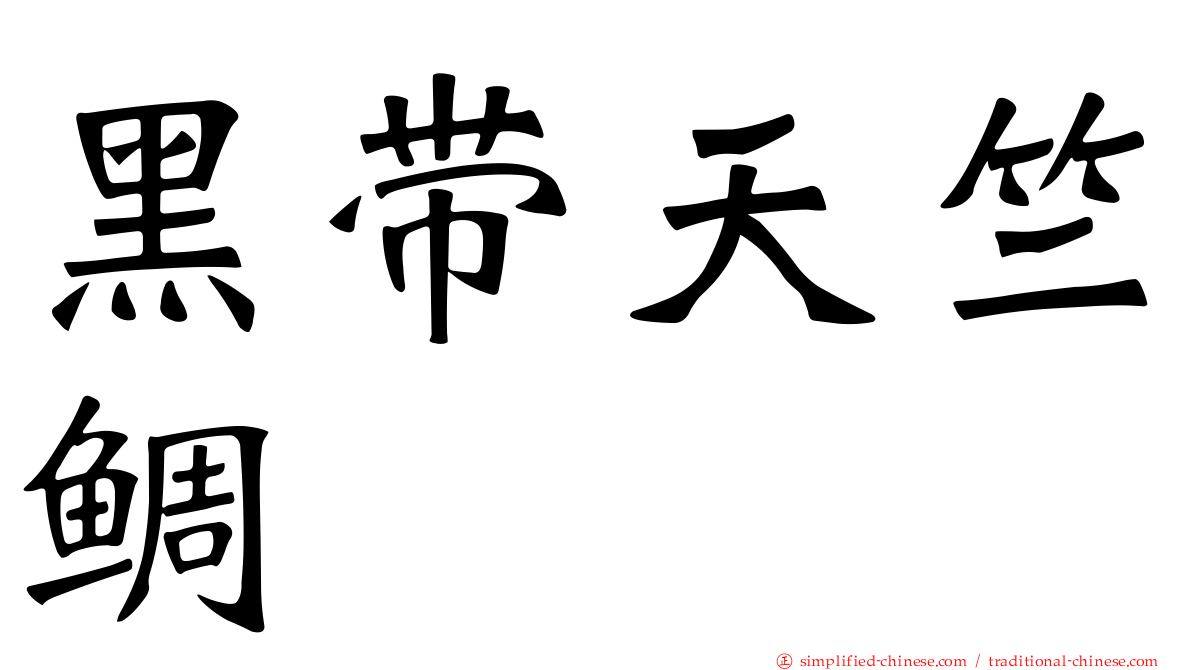 黑带天竺鲷