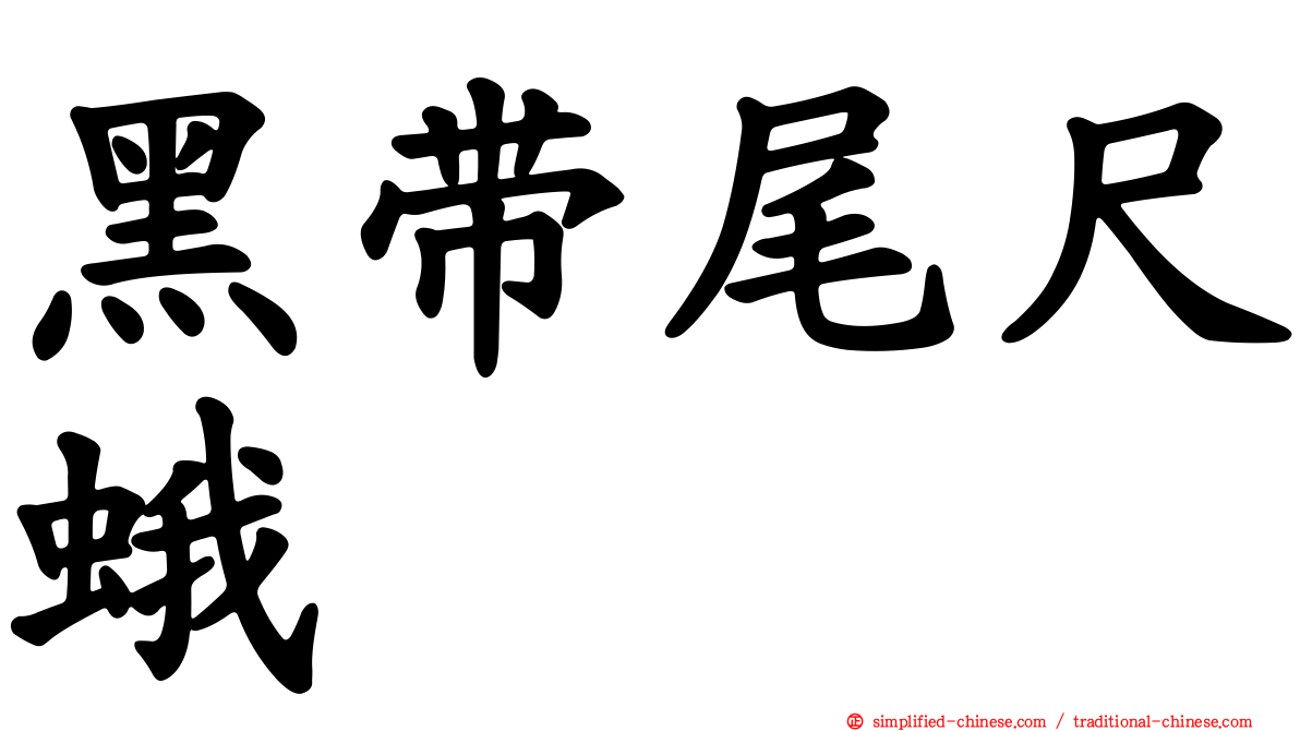 黑带尾尺蛾