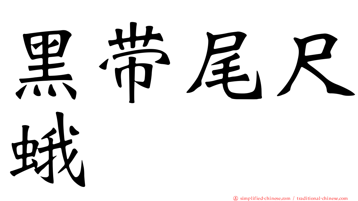 黑带尾尺蛾