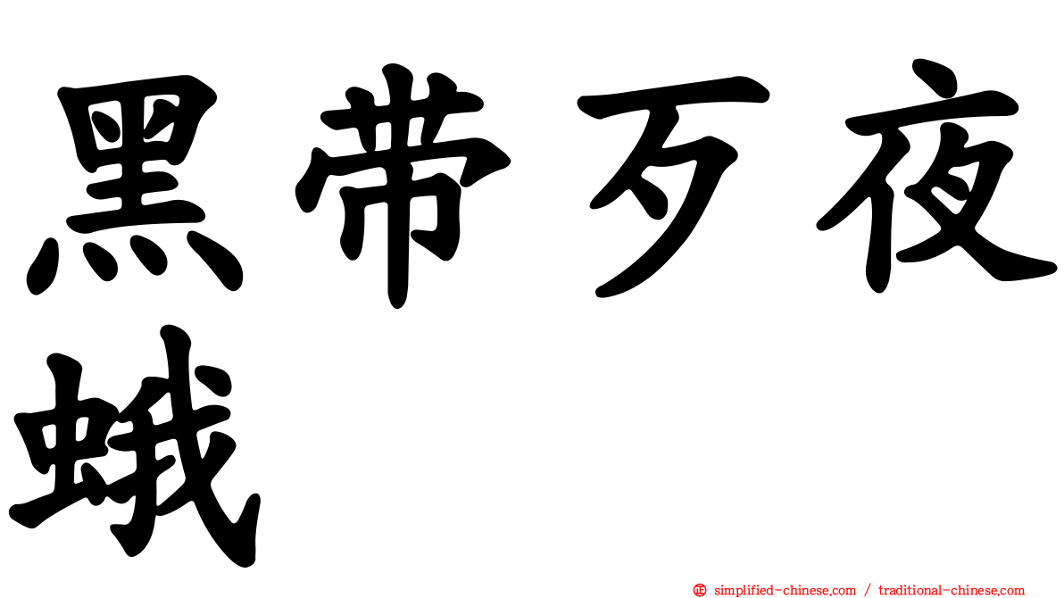 黑带歹夜蛾