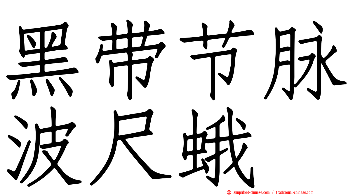 黑带节脉波尺蛾