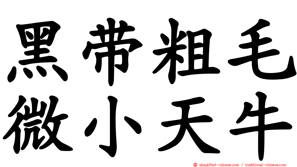 黑带粗毛微小天牛