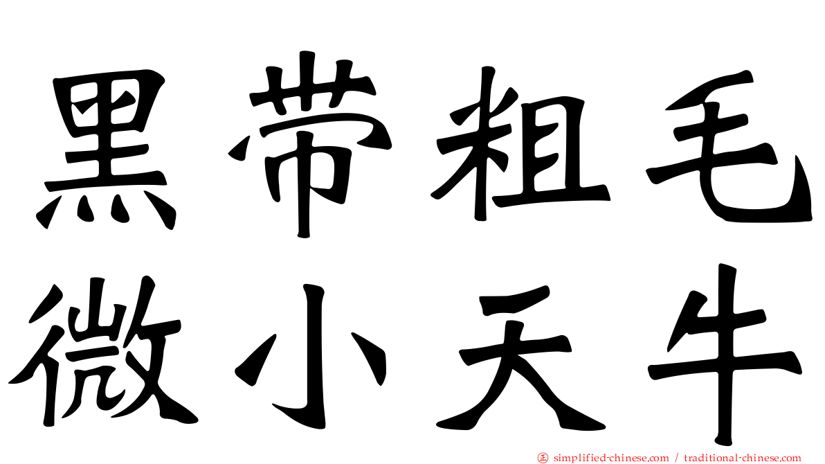 黑带粗毛微小天牛
