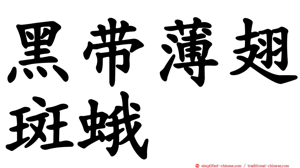 黑带薄翅斑蛾