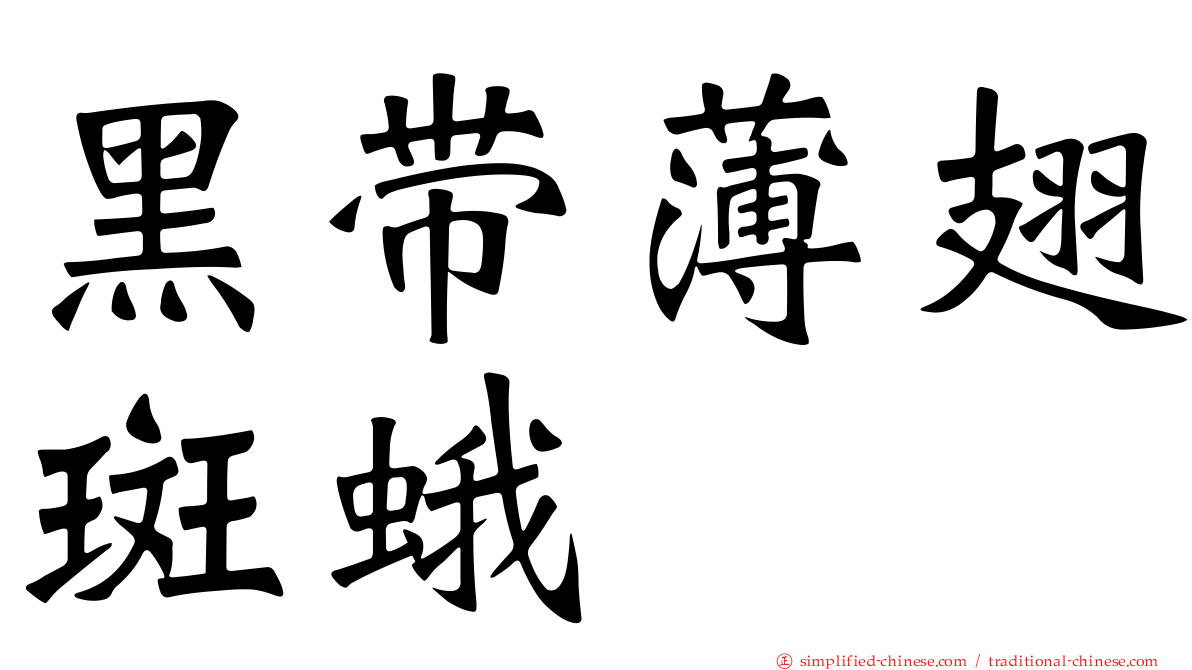 黑带薄翅斑蛾