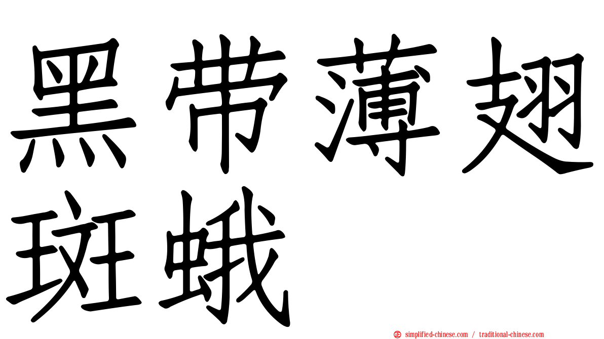 黑带薄翅斑蛾