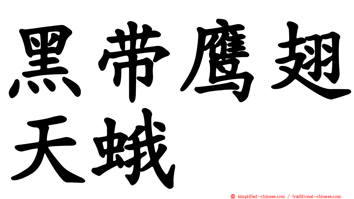 黑带鹰翅天蛾
