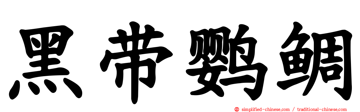黑带鹦鲷