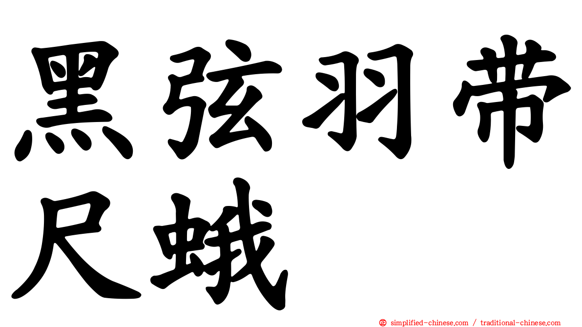 黑弦羽带尺蛾