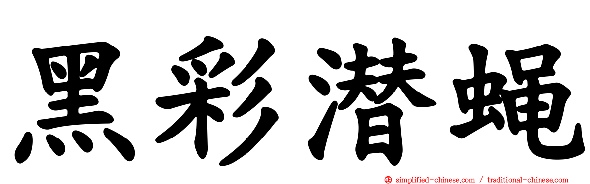 黑彩潜蝇