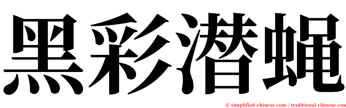 黑彩潜蝇 serif font