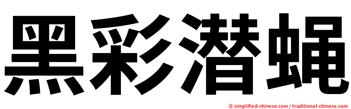 黑彩潜蝇