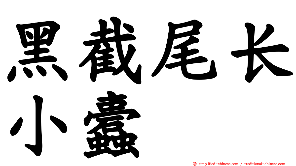 黑截尾长小蠹