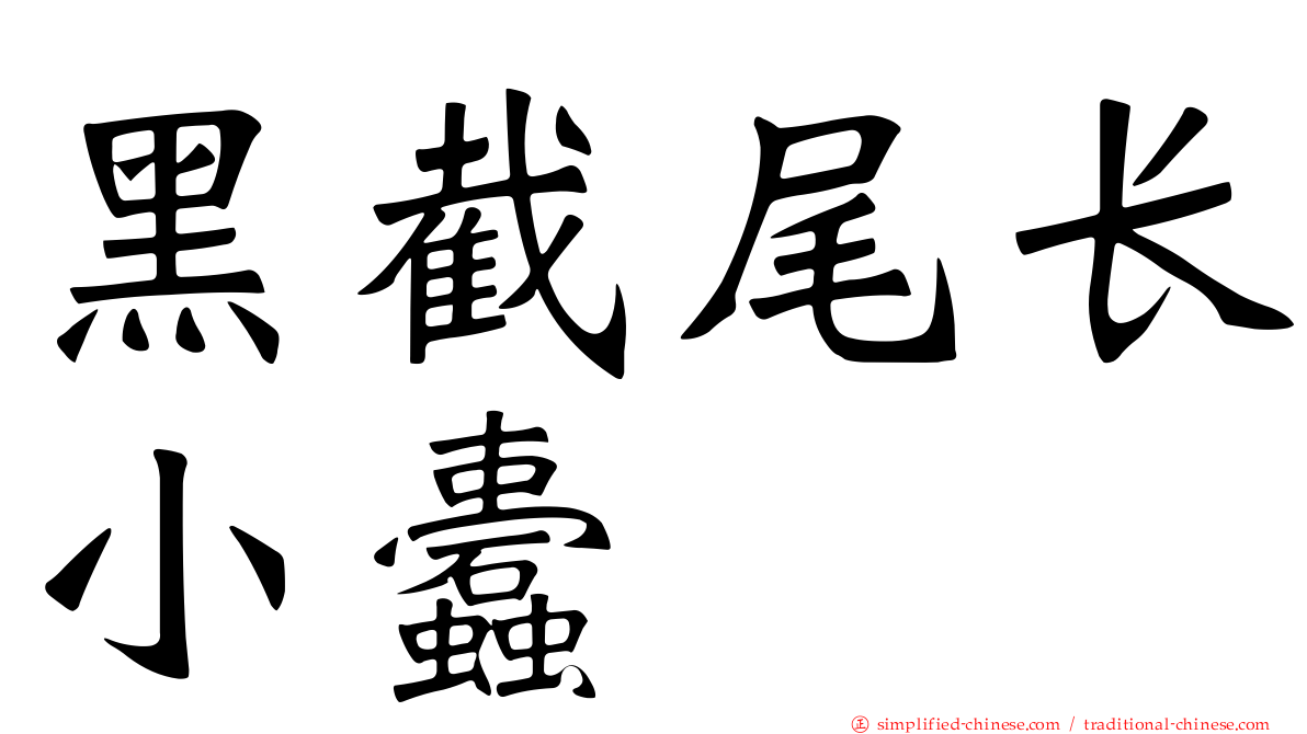 黑截尾长小蠹