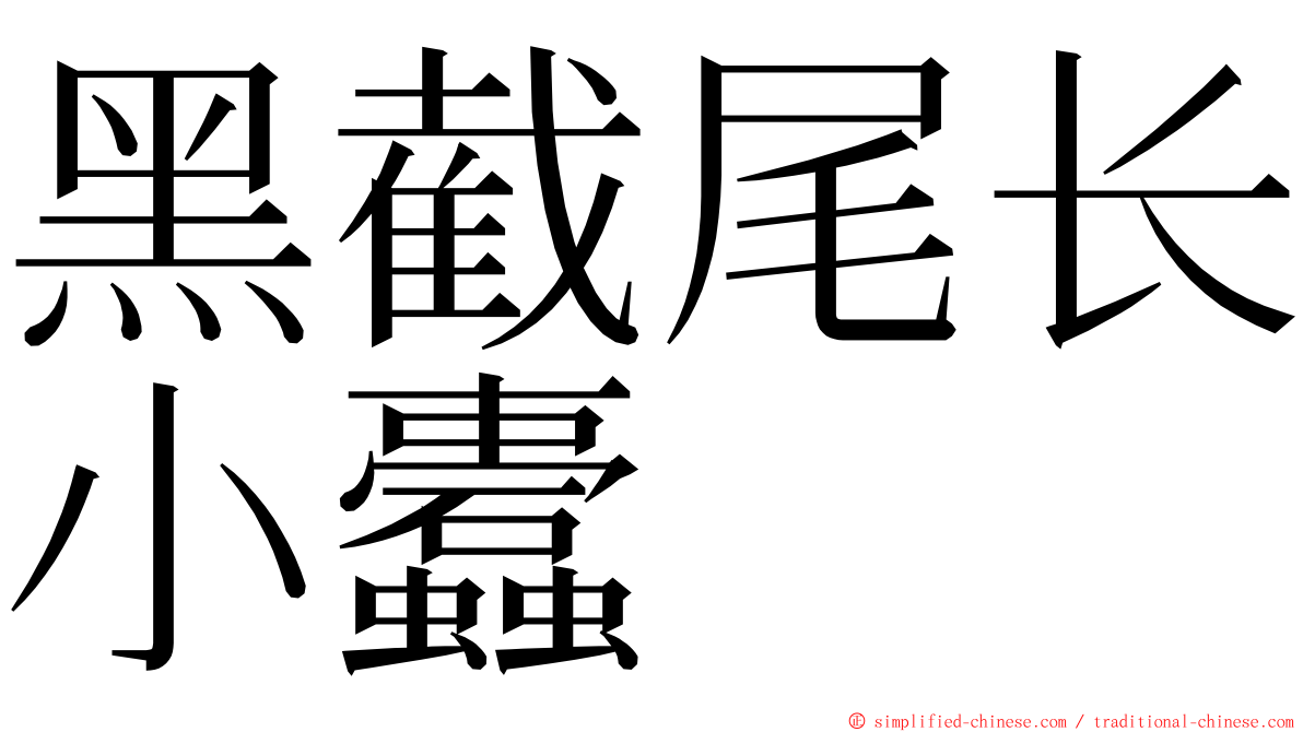 黑截尾长小蠹 ming font