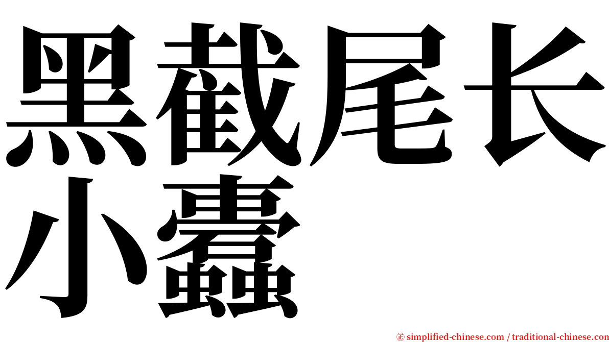 黑截尾长小蠹 serif font