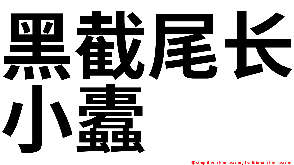 黑截尾长小蠹
