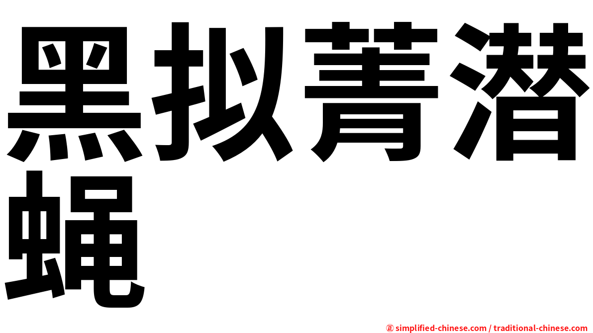 黑拟菁潜蝇