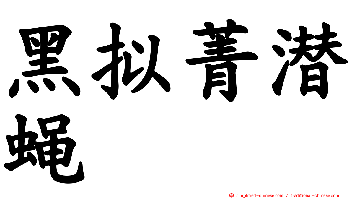 黑拟菁潜蝇