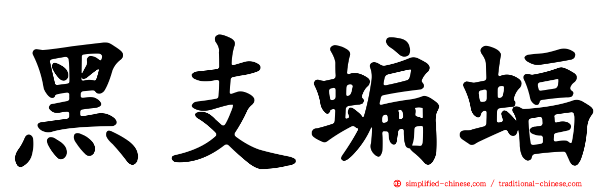 黑支蝙蝠