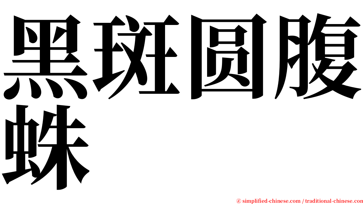 黑斑圆腹蛛 serif font