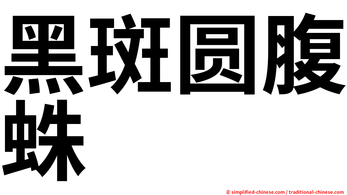 黑斑圆腹蛛