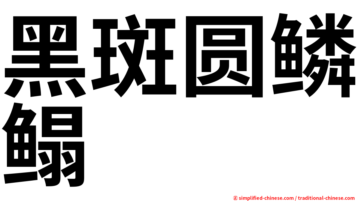 黑斑圆鳞鳎