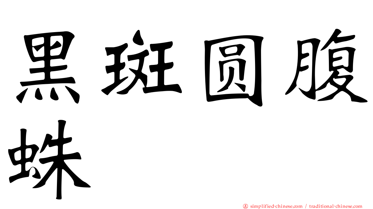 黑斑圆腹蛛